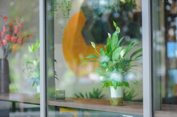 Urgence Biodiversité : Les Trésors de la Faune Française Menacés de Disparition