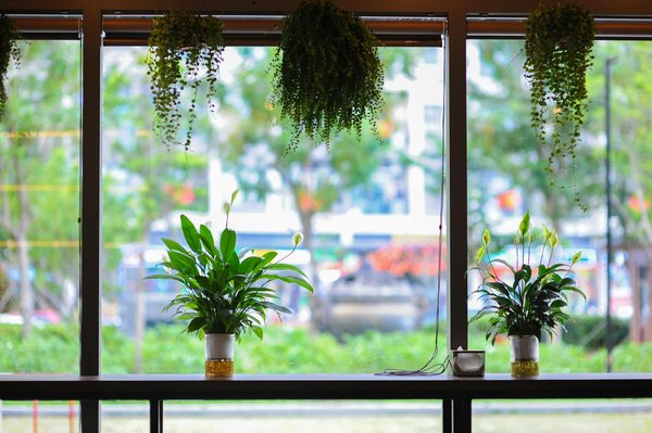 Assurance portefeuille : connectez-vous avec des acheteurs qualifiés